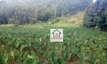 Imagem: Ótimo tereno em em Barra Alegre