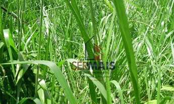 Imagem: Sítio à venda, 605000 m² por R$ 250.000,00