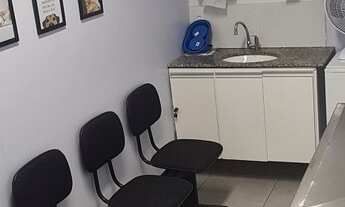 Imagem 6: Vendo pet shop completo morada de laranjeiras