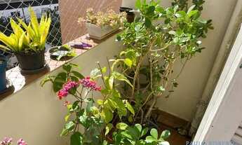 Imagem 6: APARTAMENTO - ACLIMAÇÃO - SP