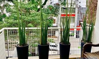 Imagem 6: APARTAMENTO - JARDIM AMÉRICA - SP