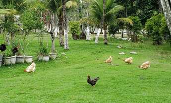 Imagem 6: Guaratiba-RJ-sítio 10.500m-piscina-Campo-Lago de peixes-2 casas
