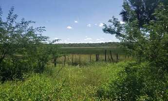 Imagem 5: Fazenda 171ha a venda