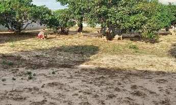 Imagem 3: Terreno murado Terreno / lote com venda por R$160.000