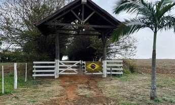 Imagem: Imóvel Rural tem 8.66 Ha metros quadrados