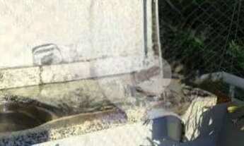 Imagem 4: Apartamento com 2 dormitórios à venda, 56 m² por R$ 250.000,00 - Irajá - Rio de Janeiro/RJ