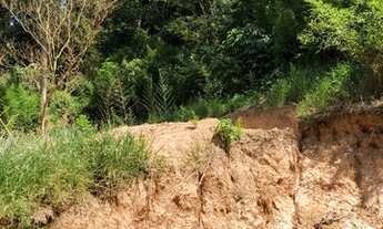 Imagem 2: Terreno 20x5 Terreno / lote com venda por R$35.000