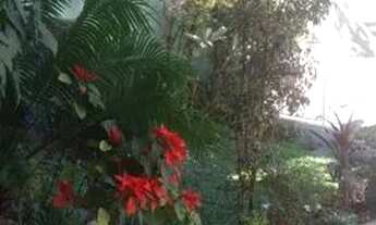 Imagem 3: SOBRADO - BROOKLIN - SP