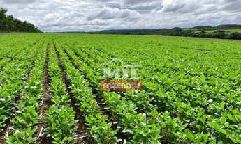 Imagem 5: Fazenda em Ulianópolis-PA. Área Total: 1.320 Hectares