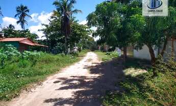 Imagem 4: Terreno de 250 m² - Todo murado