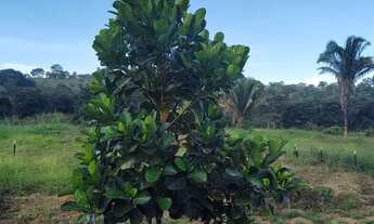 Imagem: Sítio/ Chácara de Lazer