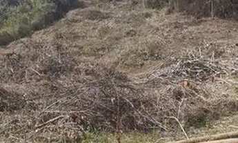 Imagem 3: Terreno em Marinhos(Moeda MG