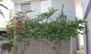 Imagem 7: CASA TÉRREA - PACAEMBÚ - SP