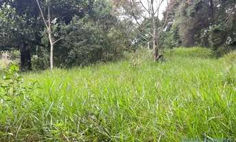 Imagem 4: AREA - PARQUE RESIDENCIAL ITAPETI - SP