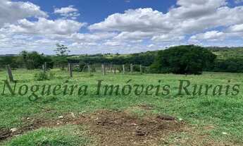 Imagem 2: Fazenda em Itapetininga, rica em água (Nogueira Imóveis Rurais