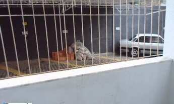 Imagem 4: APARTAMENTO para Locação no bairro Jardim Amália ll em Volta Redonda