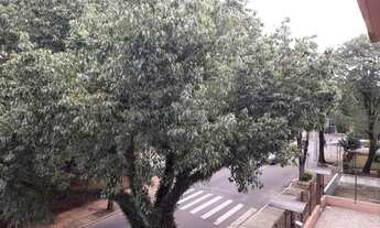 Imagem 7: Na rua Engenheiro Antônio Carlos Tibiriçá, junto à Avenida Salvador França, bairro Jardim