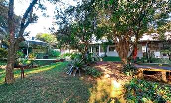 Imagem 5: Casa espetacular com pátio incrível