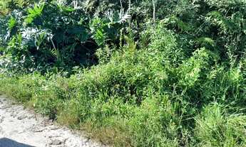 Imagem 2: Terreno jardim Califórnia lado praia!