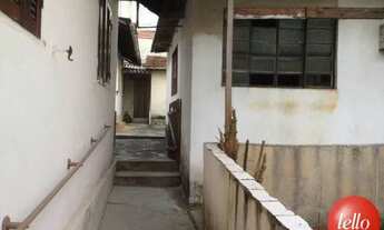 Imagem 6: São Paulo - Terreno Padrão - Vila Formosa