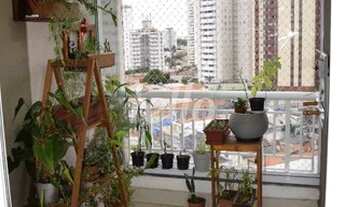 Imagem 7: São Paulo - Apartamento Padrão - Vila Gumercindo