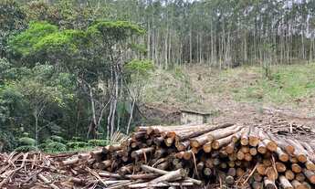 Imagem 5: Terreno para construção chale