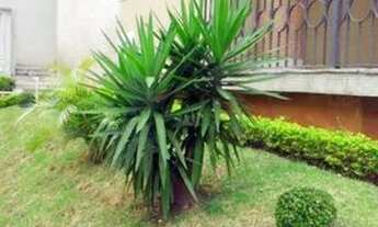 Imagem 5: APARTAMENTO - HIGIENÓPOLIS - SP