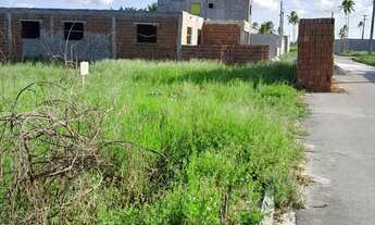 Imagem 3: Terra Norte Itapissuma