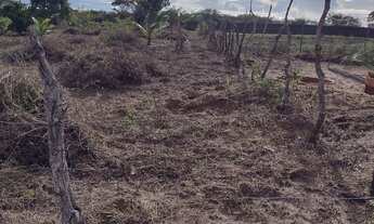 Imagem 3: Ótimo terreno,venha fazer o sítio