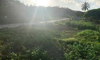 Imagem 6: Excelente casa Casa com 3 dormitórios