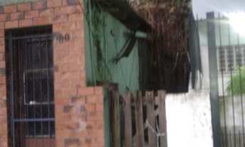 Imagem 2: Terreno para Venda - 0m², 0 dormitórios, Rio Branco