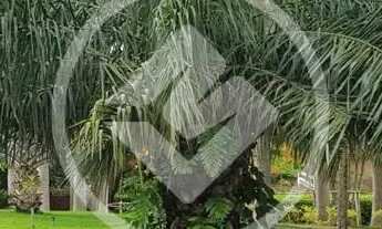 Imagem 7: Sitio Recanto das Aroeiras codigo: 96430