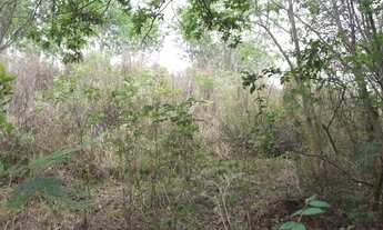 Imagem 5: Terreno 60.000m² as margens do Rio das Velhas, com uma nascente no terreno, Cordisburgo