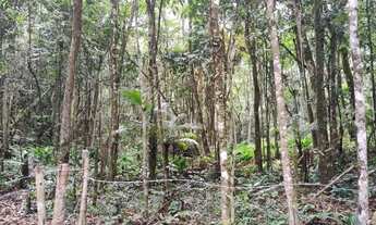 Imagem 2: Terreno por apenas 15 de entrada 40 de hum mil reais
