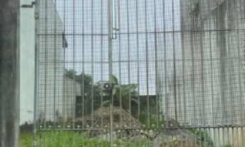 Imagem: RR6751 Terreno 125m² PARQUE RIBEIRO DE