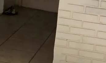 Imagem 3: JK no bairro MENINO DEUS em PORTO ALEGRE