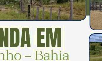 Imagem: FAZENDA EM LAJEDINHO - 4000 TAREFAS