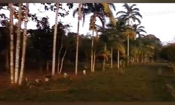 Imagem 7: VENDO SÍTIO RIO PRETO DA EVA