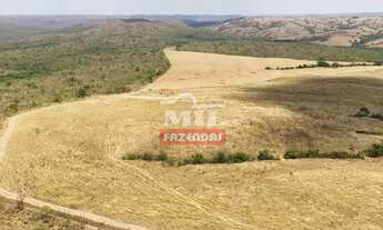 Imagem 4: Fazenda 169,42 Alqueires (820 Hectares) Ipameri - GO