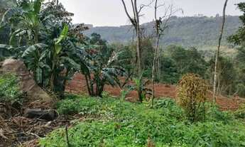 Imagem 6: Área de terra a venda em Nova Petrópolis.RS Ref.:11
