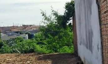 Imagem 2: Vendo terreno na cidade de Monte Alto Aceito Financiamento