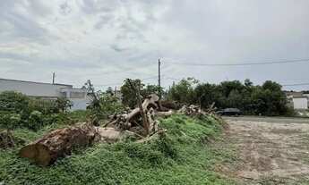 Imagem 5: TERRENO NO COND. MOSAICO PONTA NEGRA LOTE 10X25 QUITADO