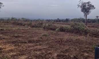Imagem 2: Vendo fazenda em Araguaina-TO 80 alqueirões $45mil/alqueire