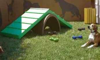 Imagem 7: Apartamento com 4 quartos à venda em Belo Horizonte