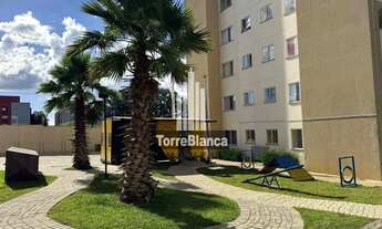 Imagem 5: Apartamento Mobiliado à venda no Jardim das Araucárias, Uvaranas, Ponta Grossa, PR