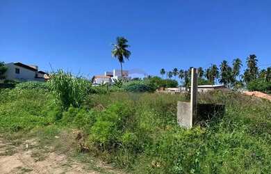 Imagem 5: No Paraíso de Tatuamunha tem umTerreno esperando por você!