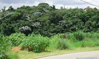 Imagem 7: TERRENO - JARDIM PAULISTA - SP