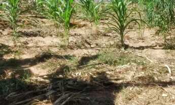 Imagem 2: Venda: Terreno No Bairro Jd. Majestic Na Reg. Leste De s.j.c