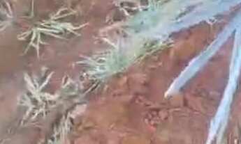 Imagem 3: Chácara cabeceiras