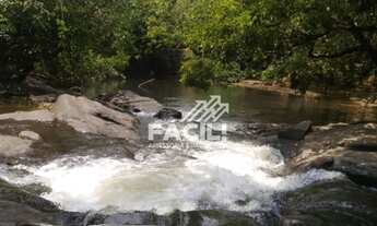 Imagem 7: Vende-se Chácara com Casa à 50 Km de Palmas-To, sentido Lajeado